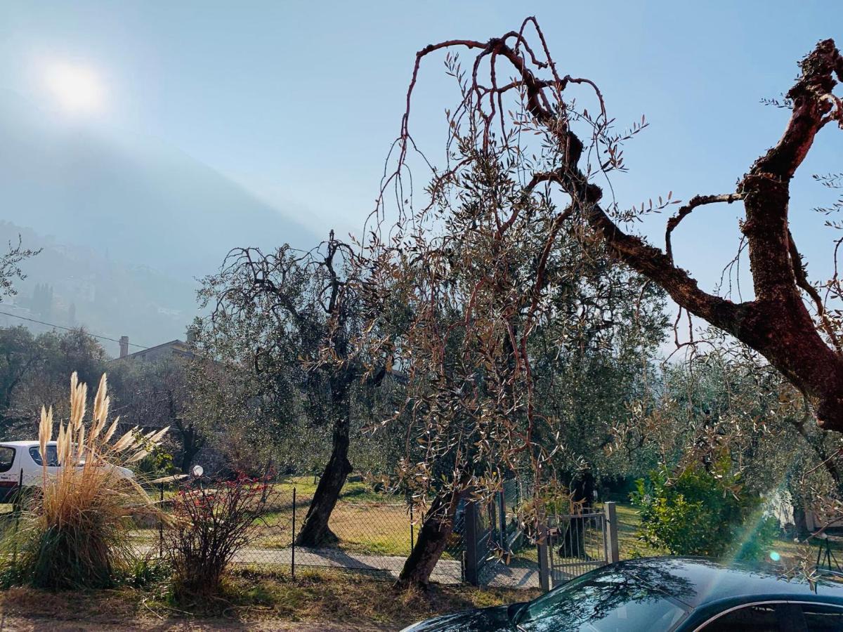 דירות מאלצ'סינה Casa Meni מראה חיצוני תמונה